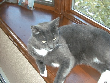 Misha